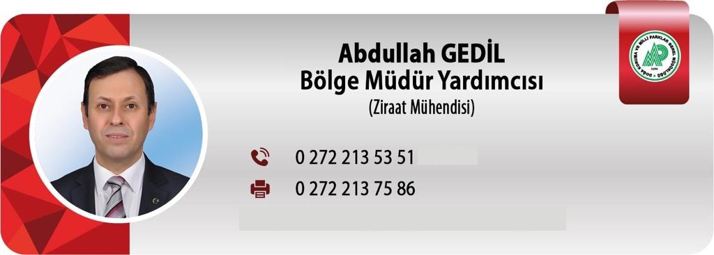 ABDULLAH GEDİL.jpg
