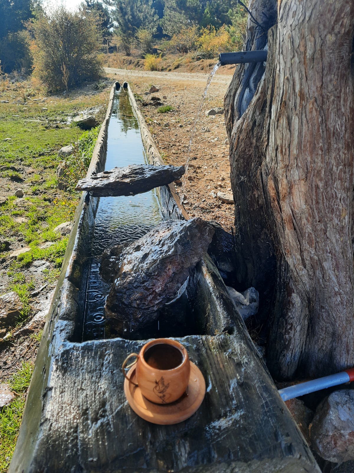 WhatsApp Image 2024-01-18 at 10.08.40.jpeg