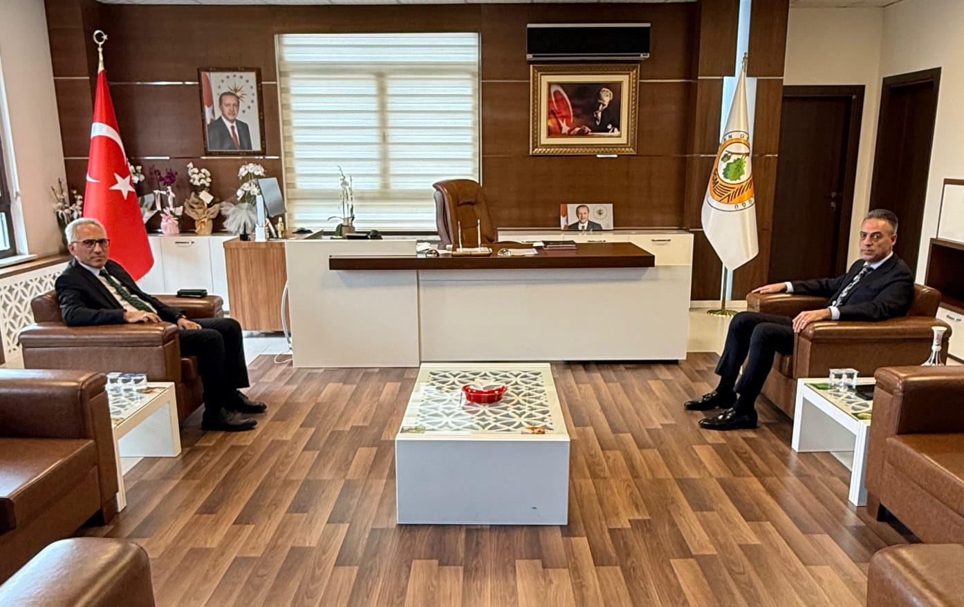 WhatsApp Image 2025-02-18 at 22.04.45.jpeg